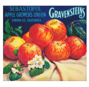 Screen Shot 2016-06-05 at 6.15.14 PM.png