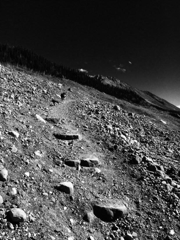 thumb_img_8131_1024-2