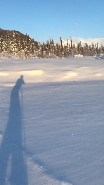 Screen Shot 2017-03-06 at 11.33.35 AM.png