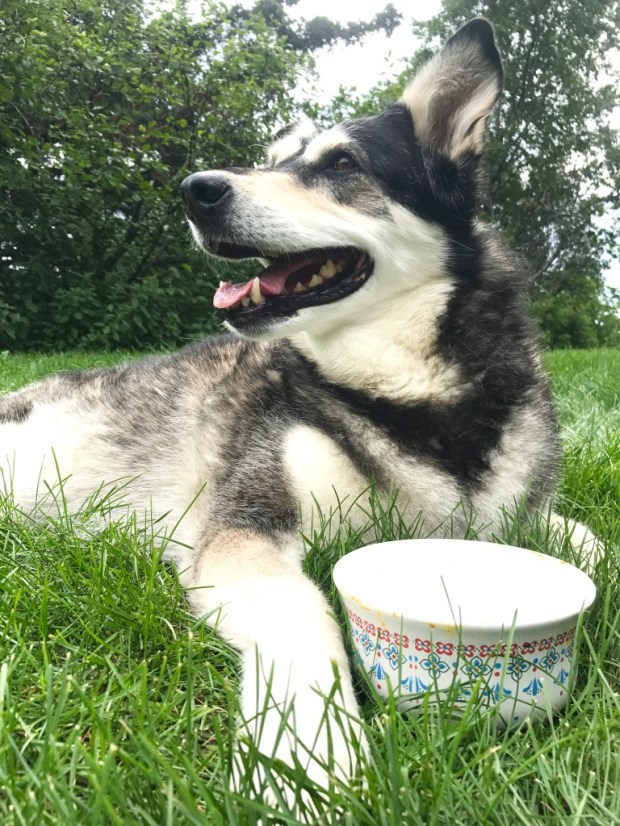 First Hard Frost Fall My Love My Lou