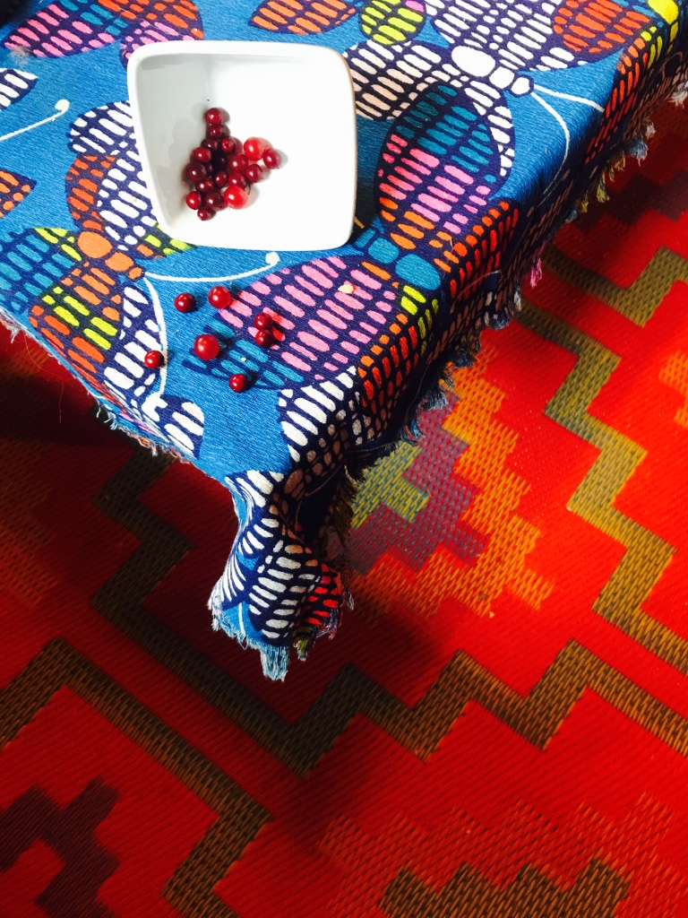 First Hard Frost Fall Backyard Cranberries