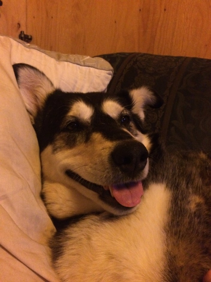 Beneath the Borealis - Little Letting Gos - Couch Smile.jpg