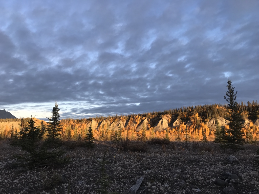 Beneath the Borealis - Little Letting Gos - Golden Hour