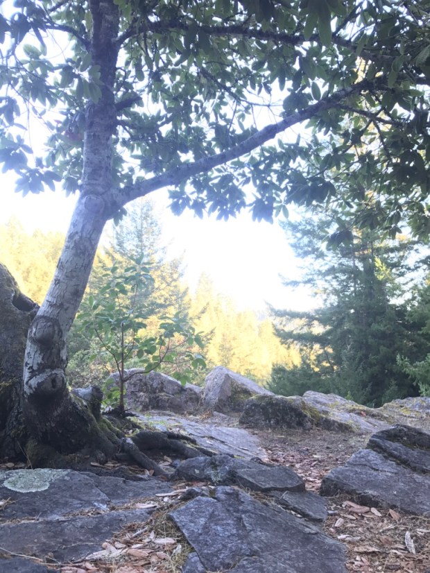 Beneath the Borealis Joni & Julia - November 13th 2017 Northern California