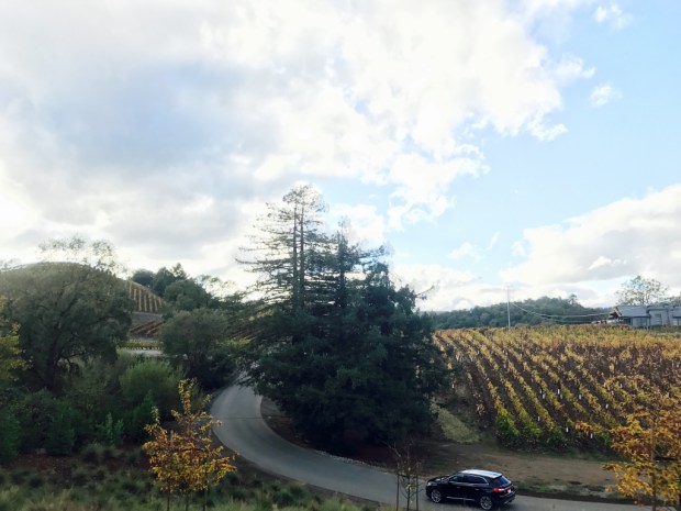 Beneath the Borealis Joni & Julia Part II Beach California Coast The Problem