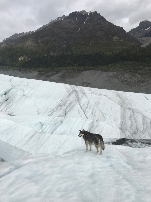 Beneath the Borealis Joni &amp; Julia Part II Cinda Lou