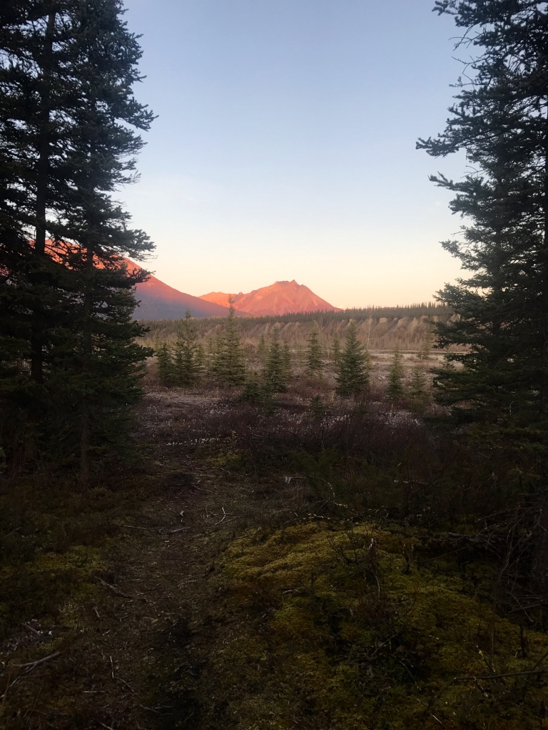 Beneath the Borealis Saturn Returns and the Bulit-In Breaks the woods