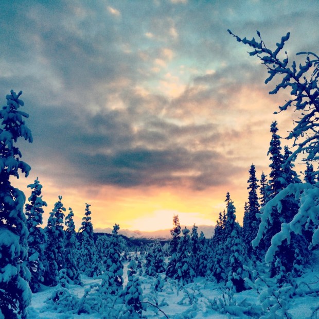 Beneath the Borealis 12/11/17 The Cult Alaskan Winter
