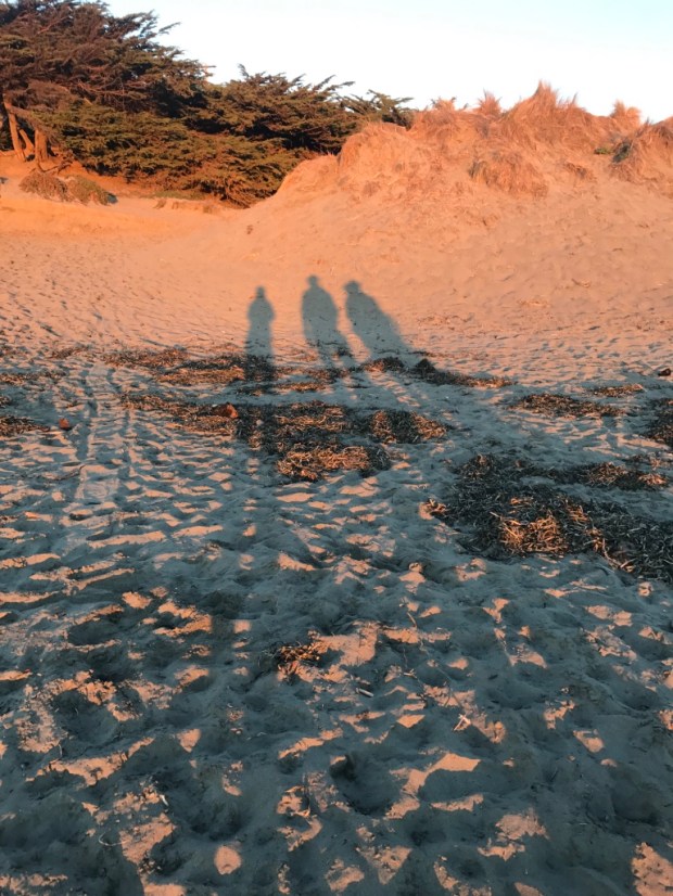 Beneath the Borealis 12/11/17 The Cult Dillon Beach 2
