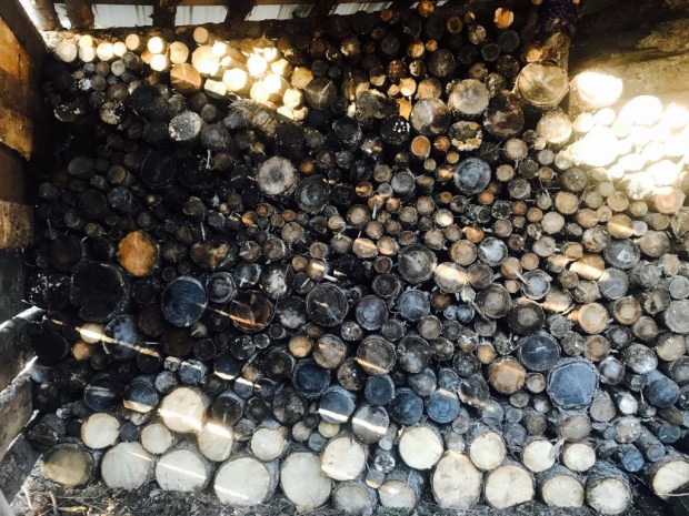 Beneath the Borealis 12/11/17 The Cult McCarthy Alaska