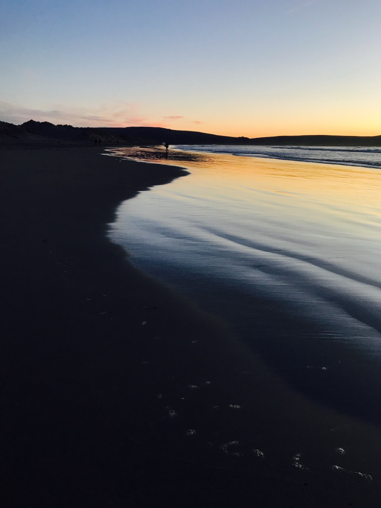 Beneath the Borealis In the 30's Sonoma Coast