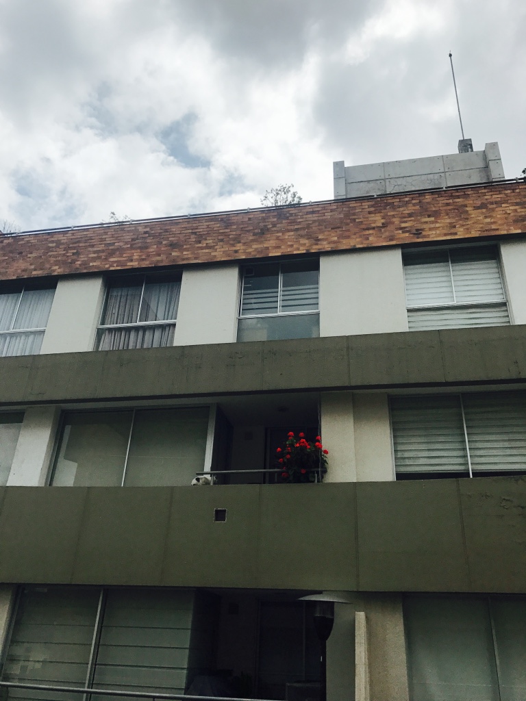The Tour Guide Beneath the Borealis 1/29/18 Quito Highrise