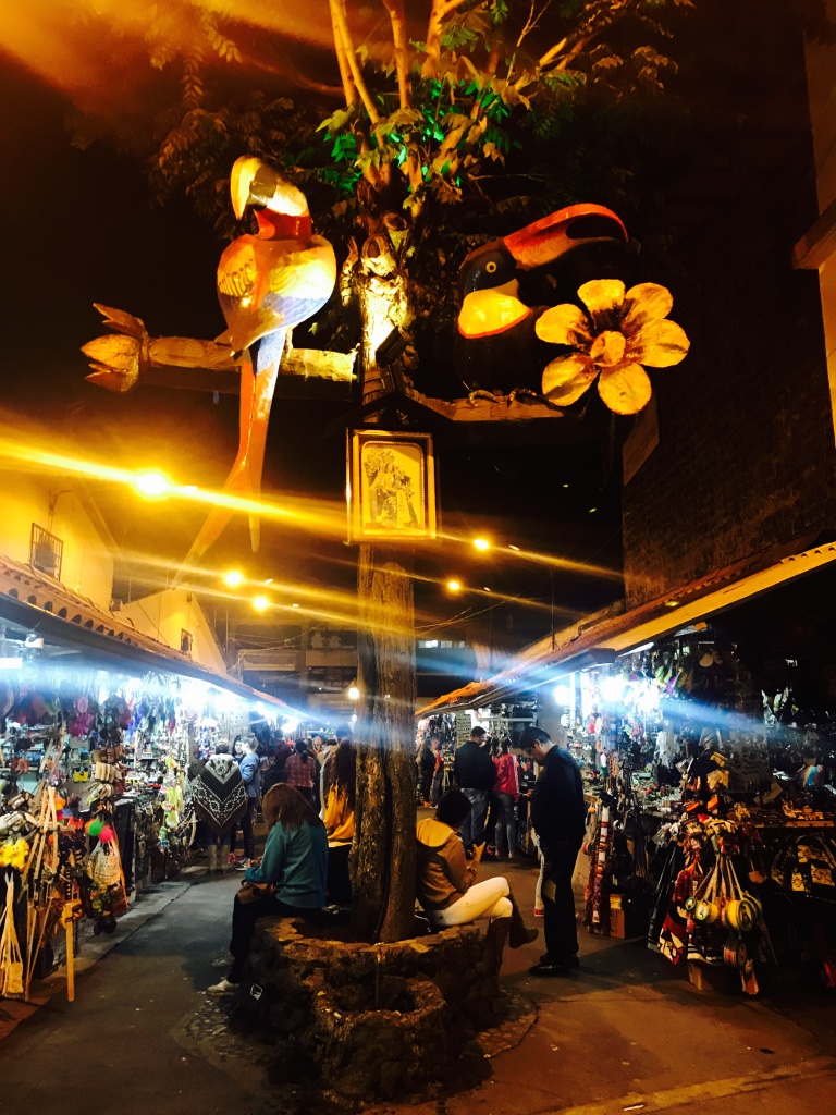 Beneath the Borealis 5 Things to Expect When You're Expecting Artesanal Market in Banos Ecuador