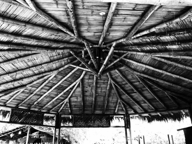 Beneath the Borealis 5 Things to Expect When You're Expecting Isla Corazon