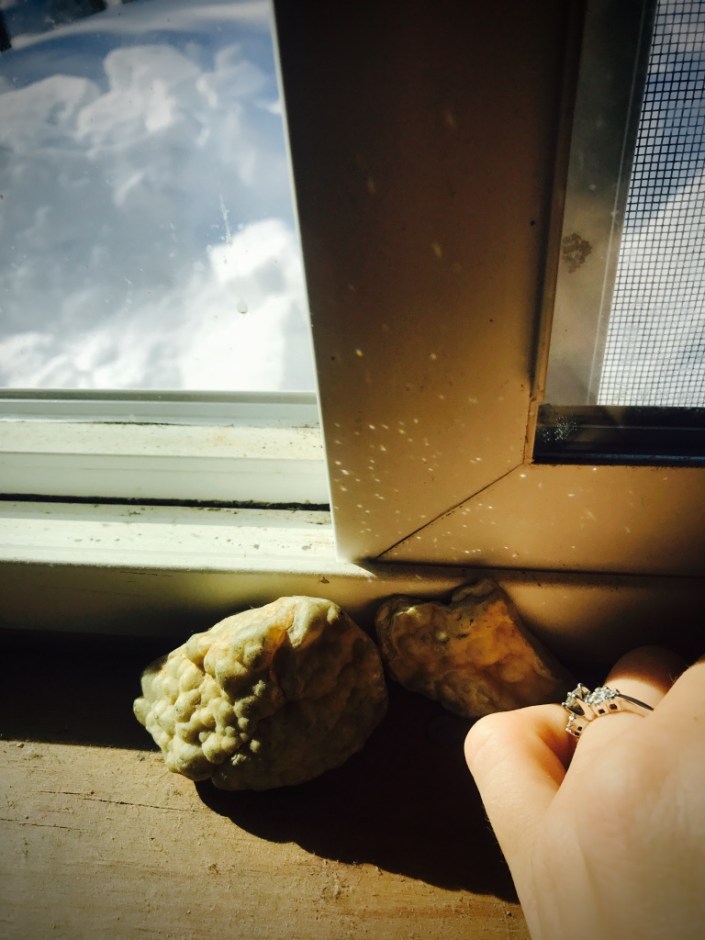 Beneath the Borealis Alaska Spring Cleaning Spring Fever 3-26-18 Engagement Ring