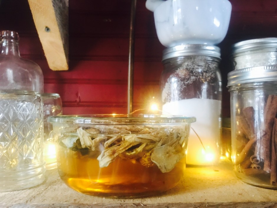 Beneath the Borealis 04-16-18 Woodstove Tiny House