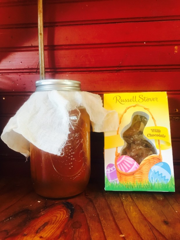 Beneath the Borealis Easter 04-02-18 Chocolate bunnies