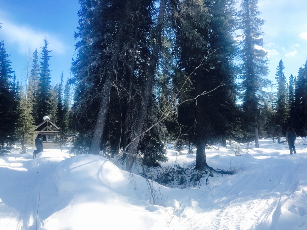 Beneath the Borealis Easter 04-02-18 Easter Egg Hunt