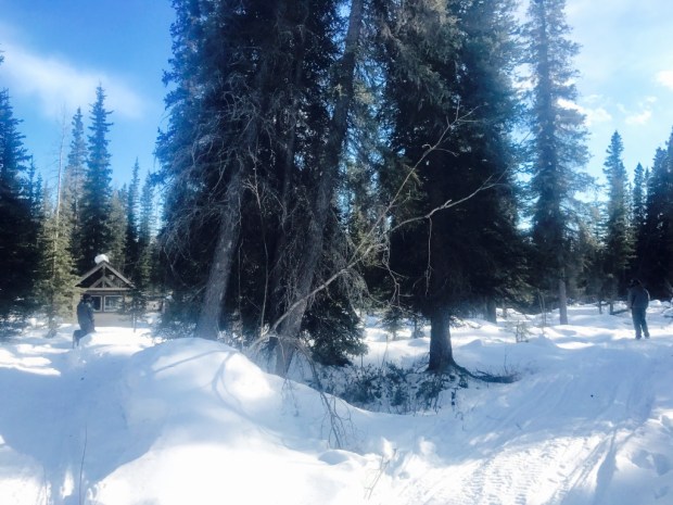 Beneath the Borealis Easter 04-02-18 Easter Egg Hunt