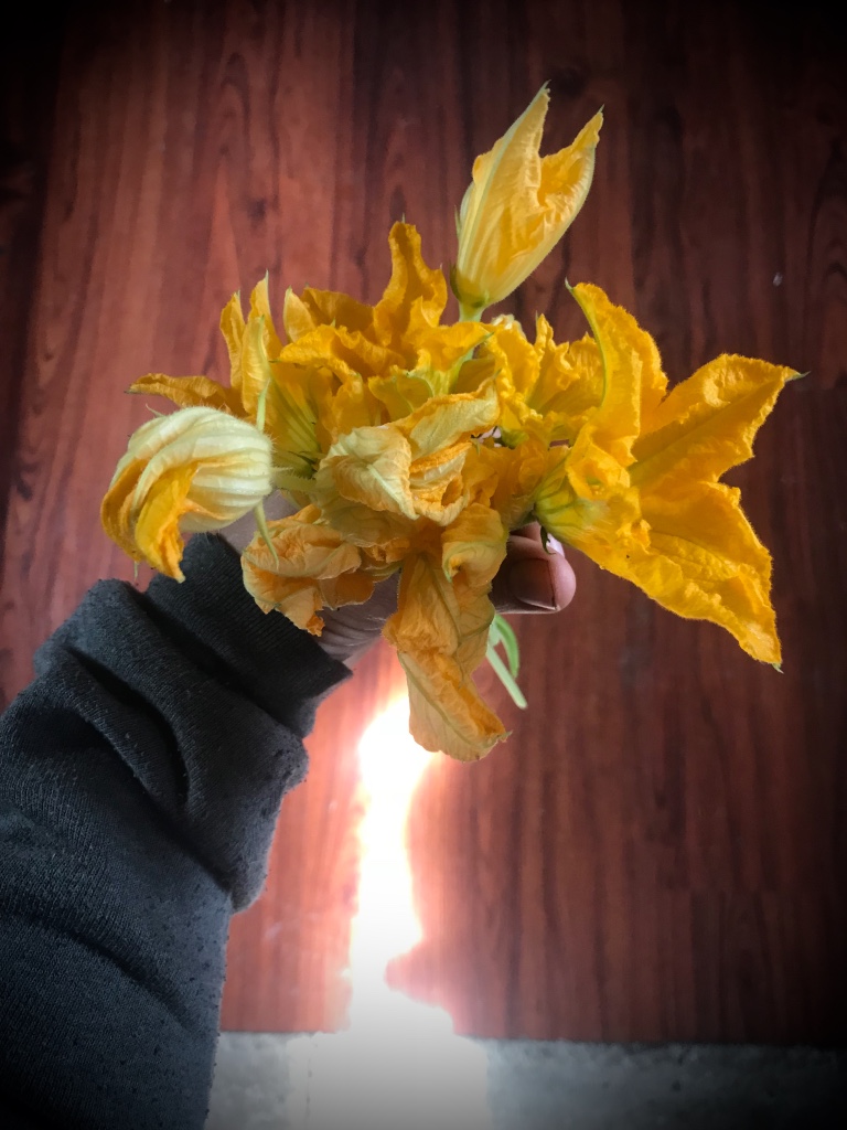 Beneath the Borealis Small Commitments Wedding AK