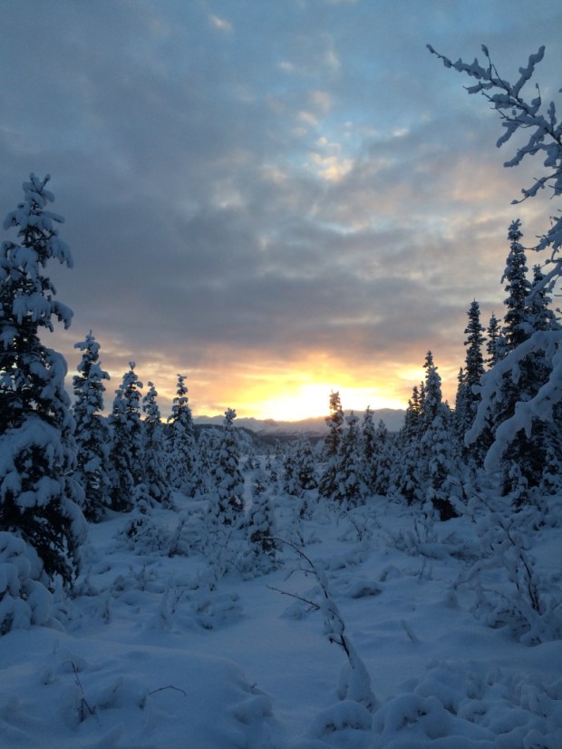 Beneath the Borealis 09-24-18 100 Winter in Alaska