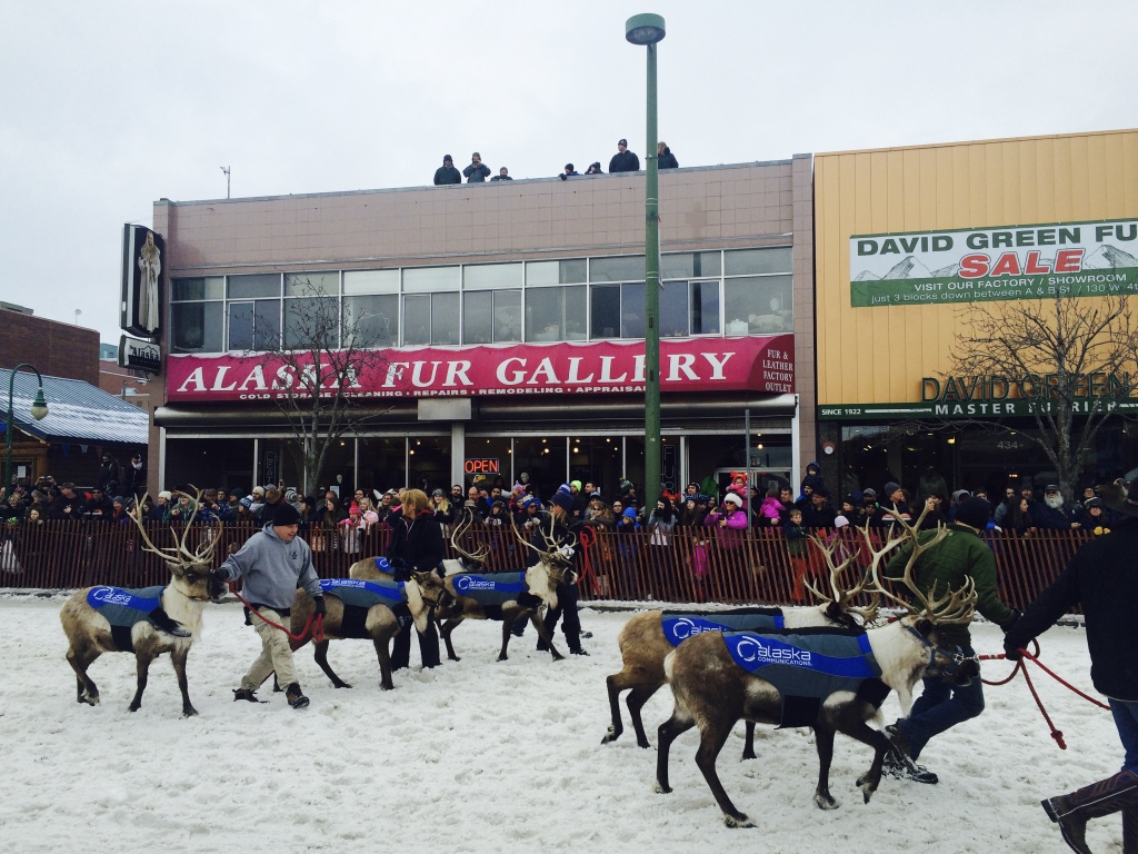 Beneath the Borealis For the Love of Film 2001 A Space Odyssey Fur Rondy.jpg