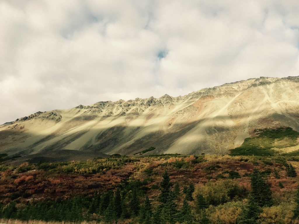 Beneath the Borealis I Am an Artist Fairbanks AK.jpg