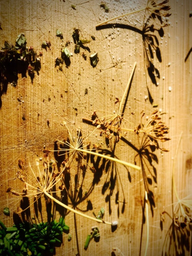 Beneath the Borealis Under Pressure 10-15-18 Fennel Seeds Gardening in Alaska