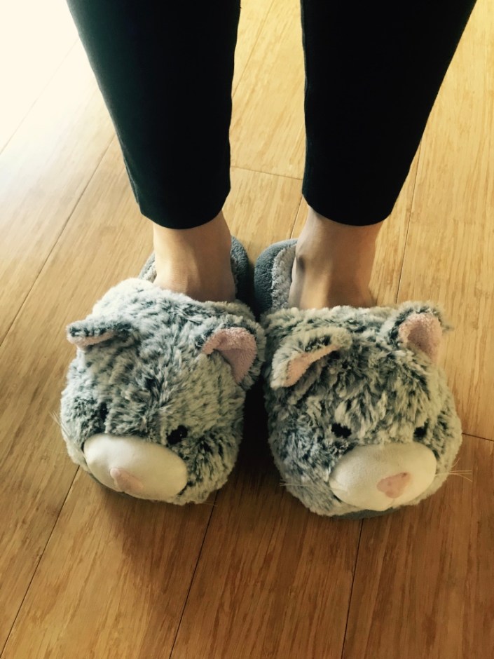 Beneath the Borealis The Good in the Bad and the Ugly Northern California Kitty Slippers