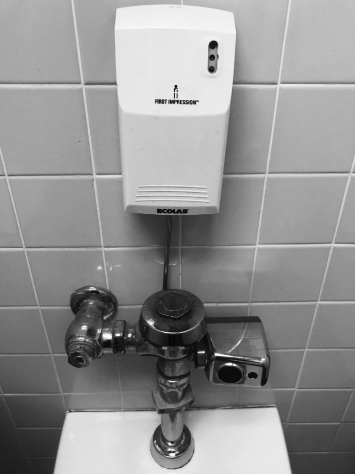 Beneath the Borealis The Good in the Bad and the Ugly Northern California Toilet