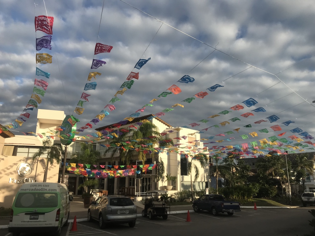 Beneath the Borealis How to Plan the Perfect Trip to Mexico Yelapa Storms