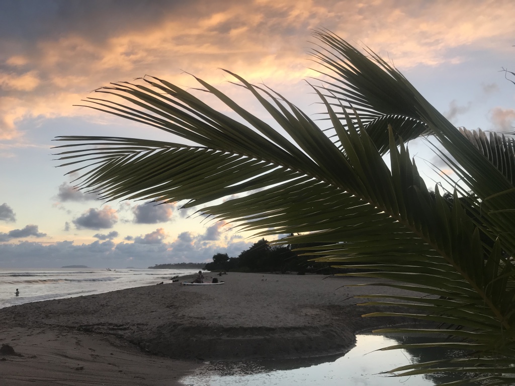 Beneath the Borealis How to Plan the Perfect Trip to Mexico Punta de Mita Sunset