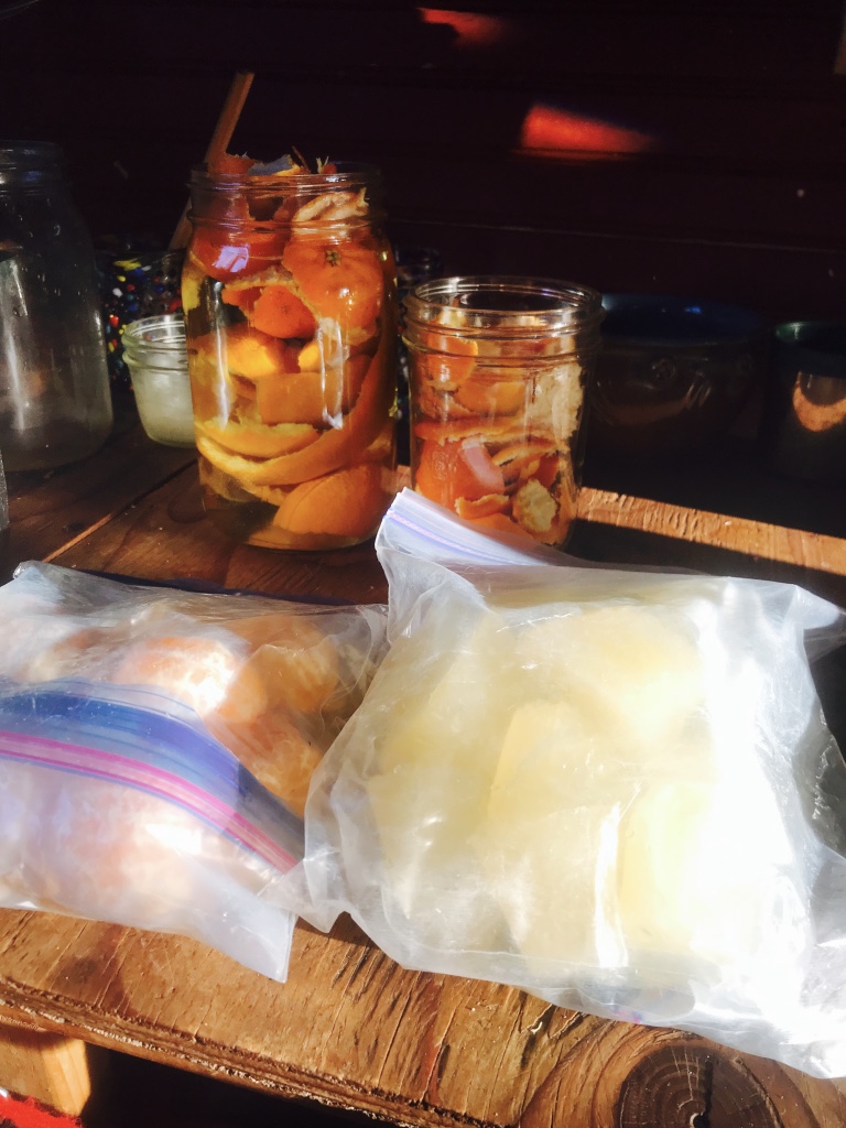 Beneath the Borealis, Triple R, 2-18-19, DIY all purpose cleaner