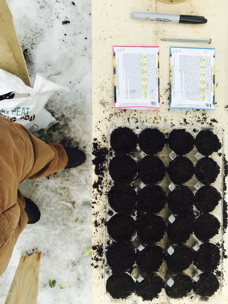 Beneath the Borealis, Triple R, 2-18-19, DIY gardening