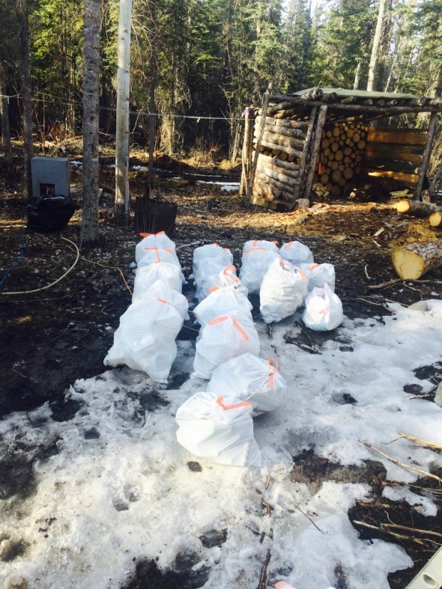 Beneath the Borealis, Triple R, 2-18-19, DIY trash