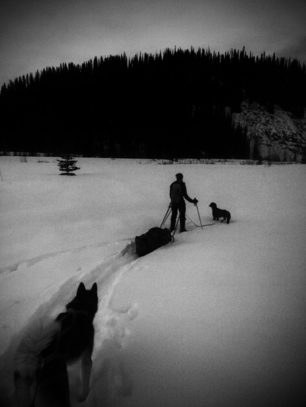 Beneath the Borealis In Celebration of Women Backcountry Winter Camping