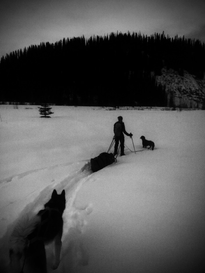 Beneath the Borealis In Celebration of Women Backcountry Winter Camping