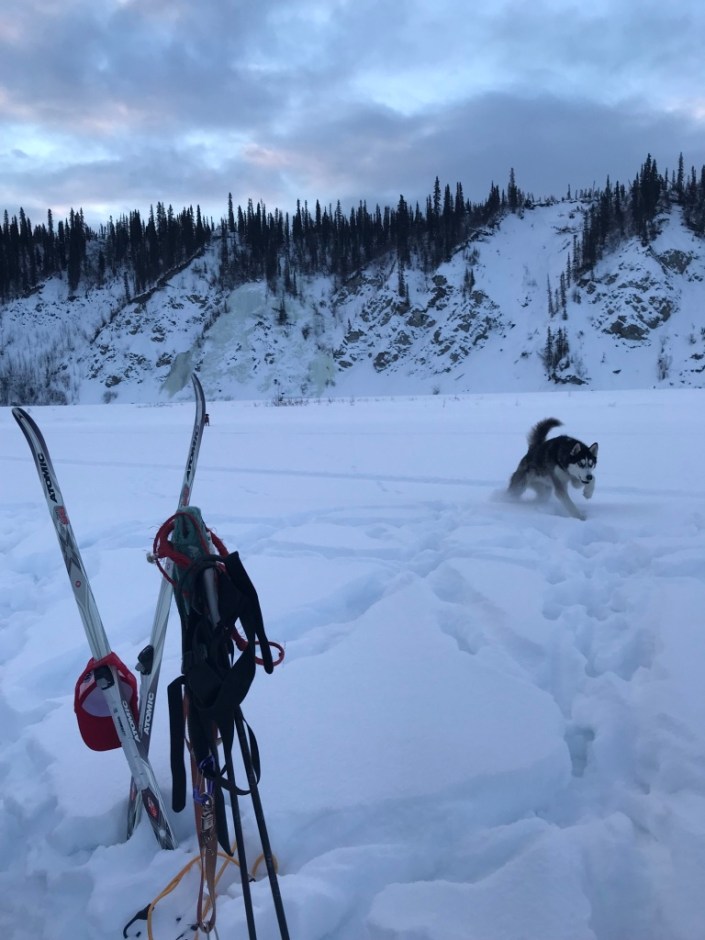Beneath the Borealis In Celebration of Women Huskies of Alaska