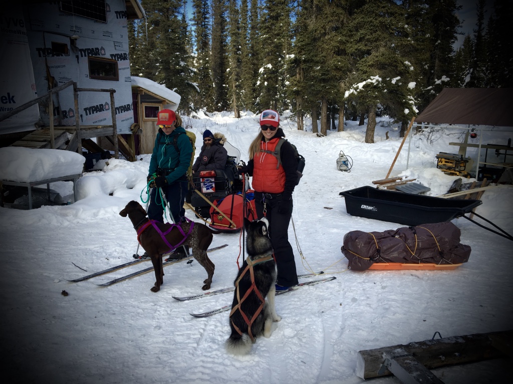 Beneath the Borealis In Celebration of Women Skijor Alaska