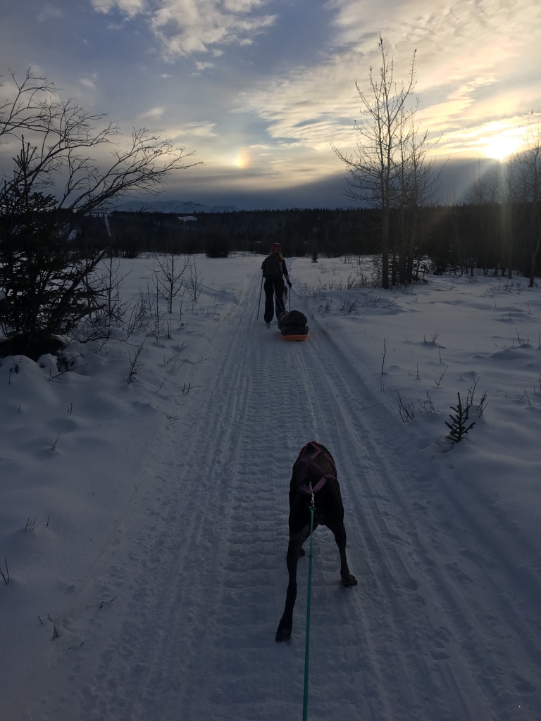 Beneath the Borealis In Celebration of Women Skijoring in Alaska
