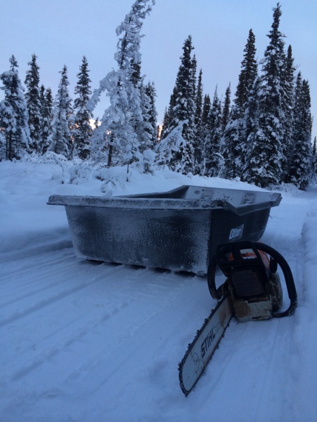 Beneath the Borealis POST Baby You Can Drive My Car Stihl in Love with You