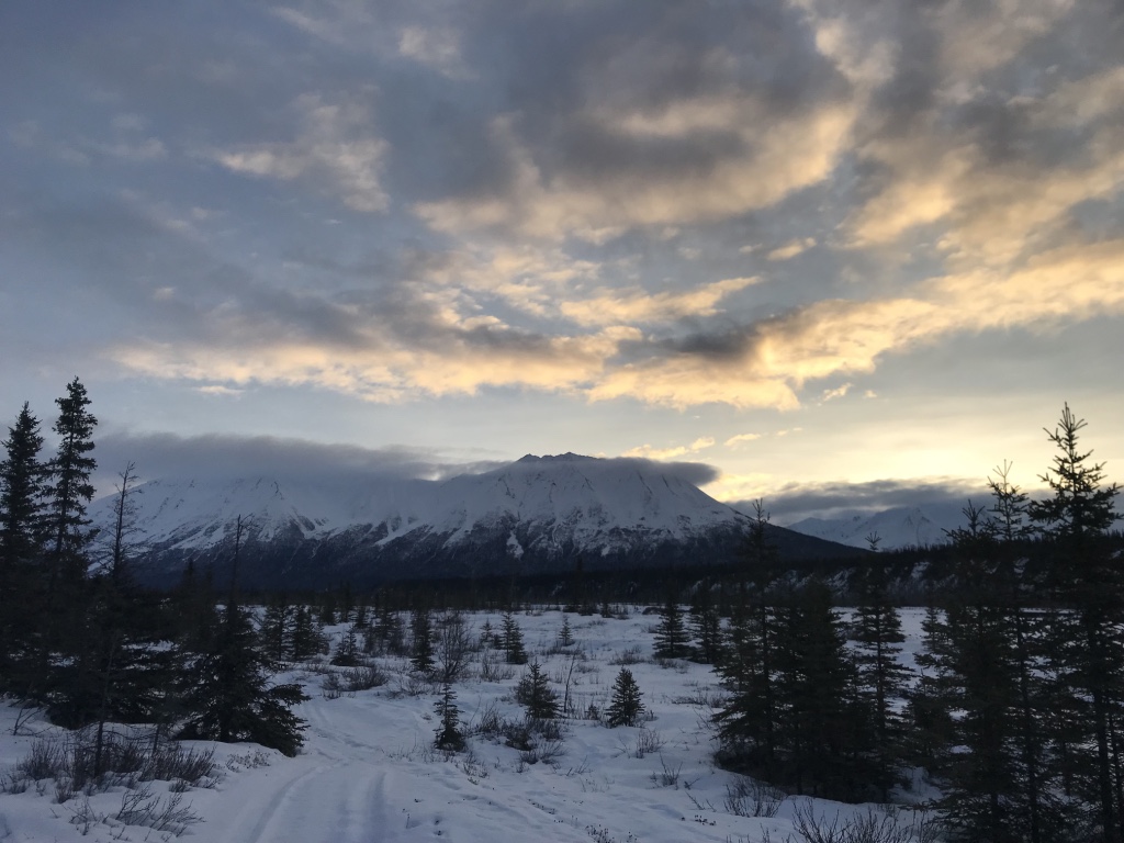 Beneath the Borealis POST Baby You Can Drive My Car With Love from Alaska