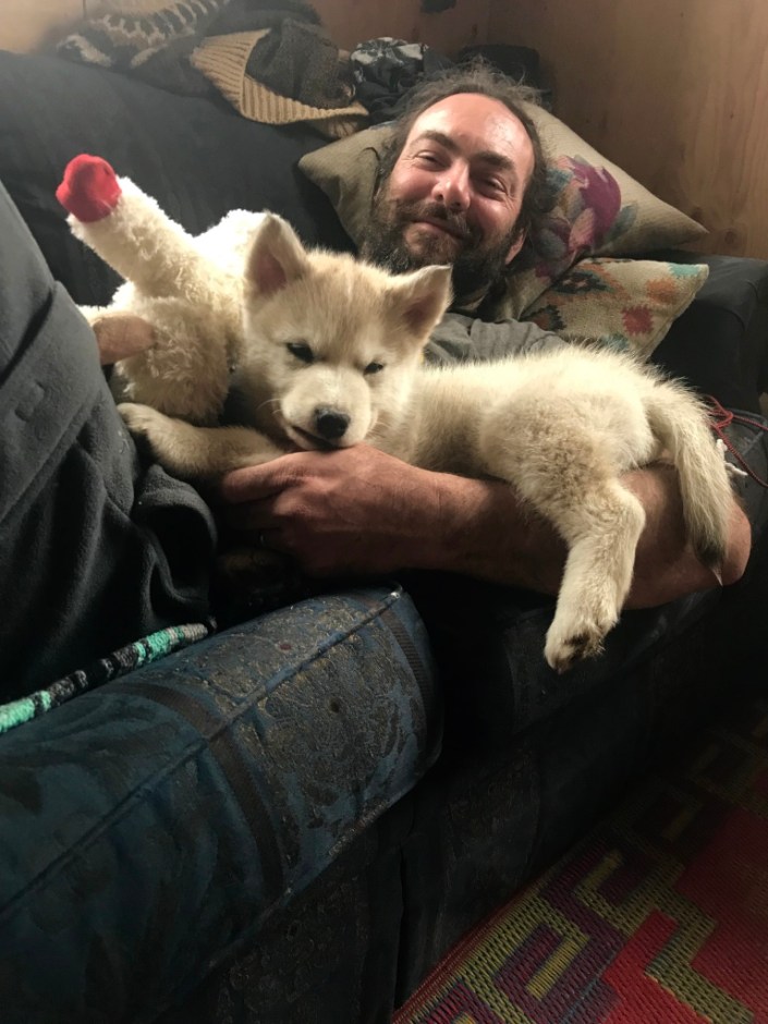 Beneath the Borealis The Fluff Part II, 04-22-19, Malamute pup and The Chief