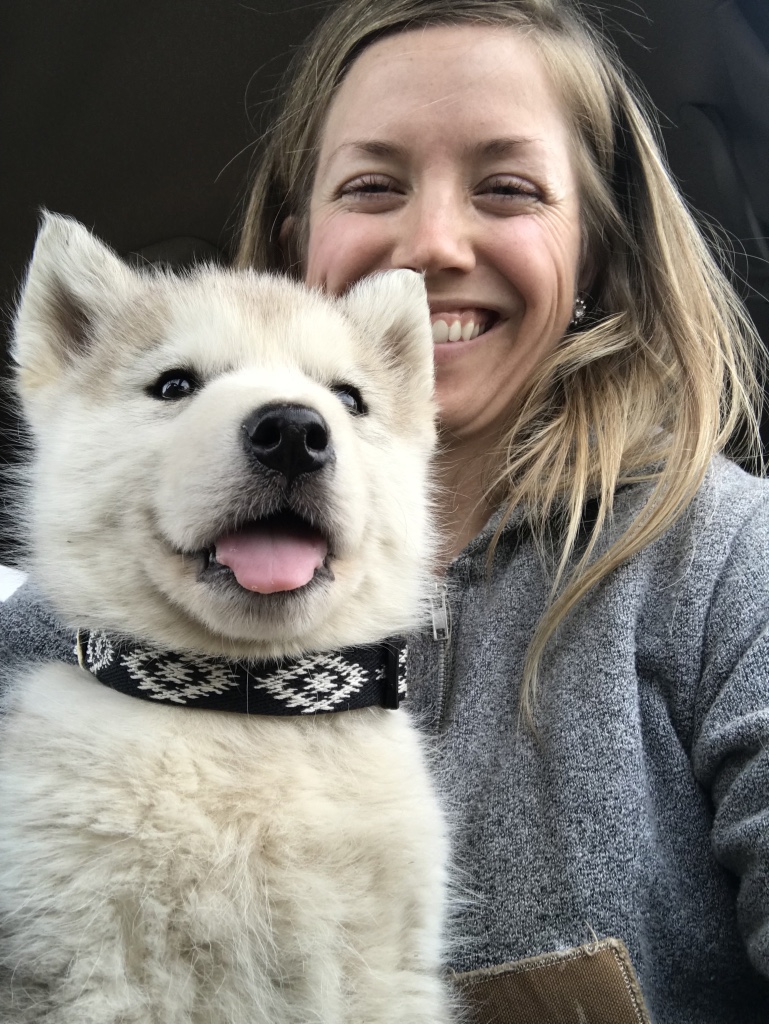 Beneath the Borealis The Fluff Part II 04-22-19 Fairbanks, Alaskan Malamute