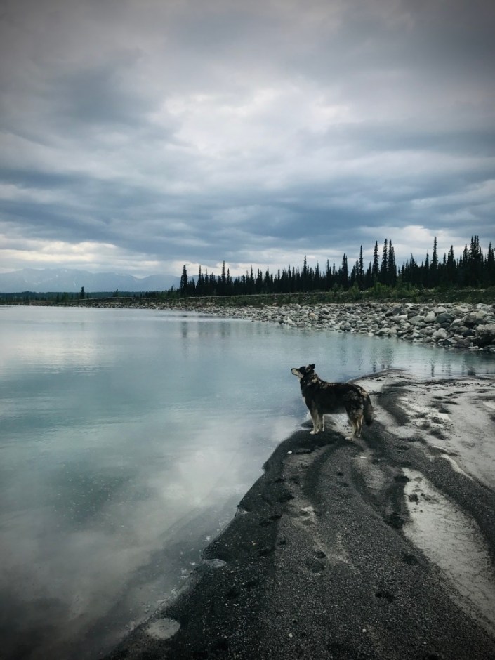 Beneath the Borealis 7-8-19, Six Funerals and a Wedding, Cinda Lou's Kingdom