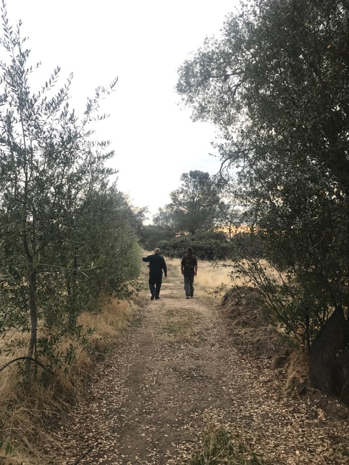 Beneath the Borealis 7-8-19, Six Funerals and a Wedding, Take a walk