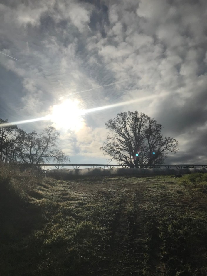 Beneath the Borealis 7-8-19, Six Funerals and a Wedding, The sun will come out