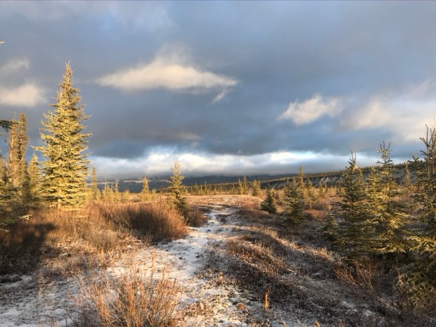 Beneath the Borealis, 11-11-19, Post Cabin Confessions, Putting Up, Alpenglow Alaska