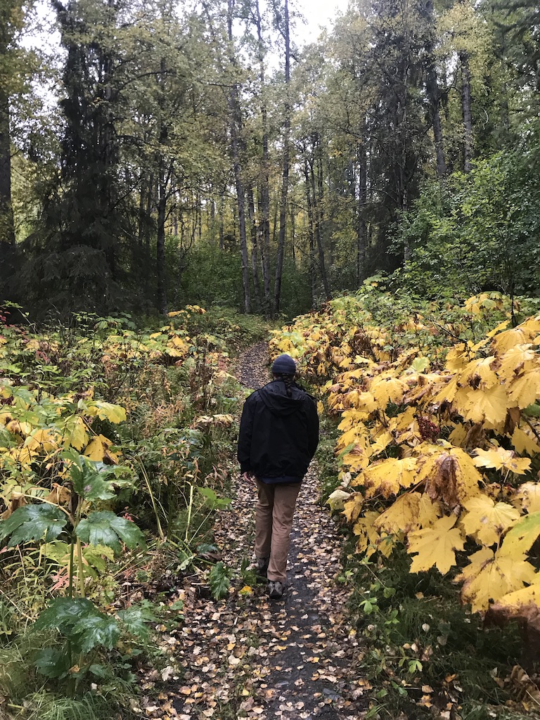 Beneath the Borealis, 11-25-19, Porcupup, Fall colors Alaska in September
