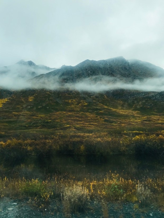 Beneath the Borealis, 11-25-19, Porcupup, Valdez, AK